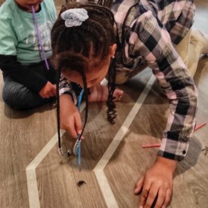 Dschungel Kindergeburtstag Spinnen