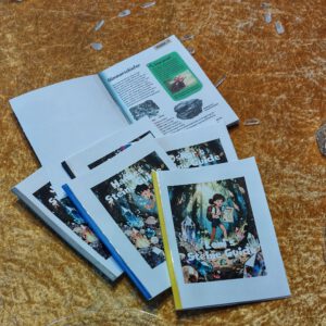 Kristalljagd Steineguide